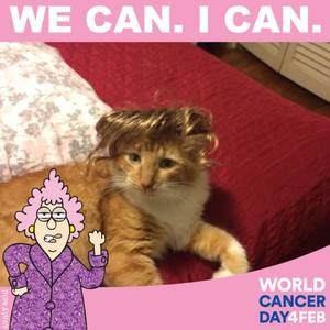 Meet your Posher, Isabel